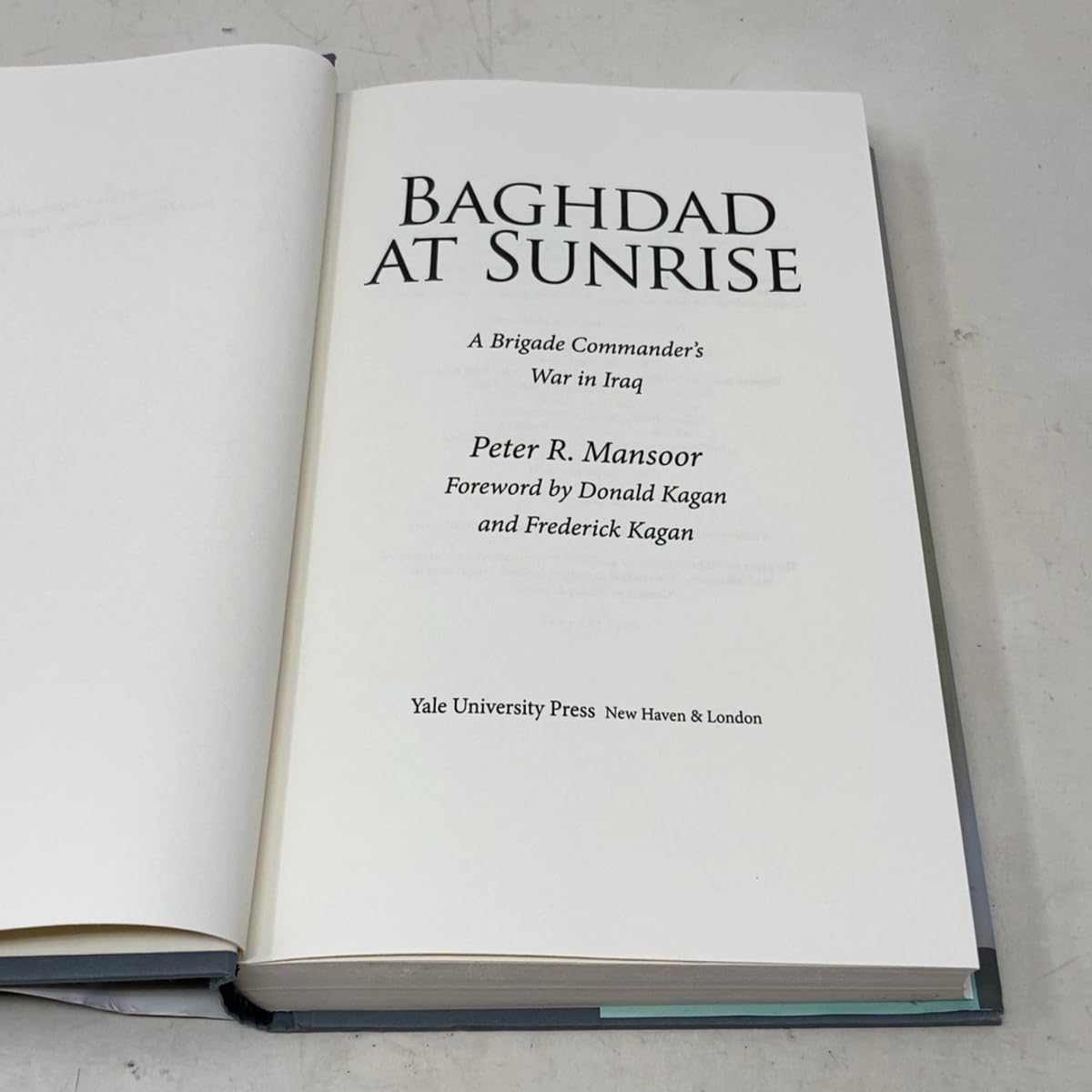 Baghdad at Sunrise: A Brigade Commander's War in Iraq (Yale Library of Military History)