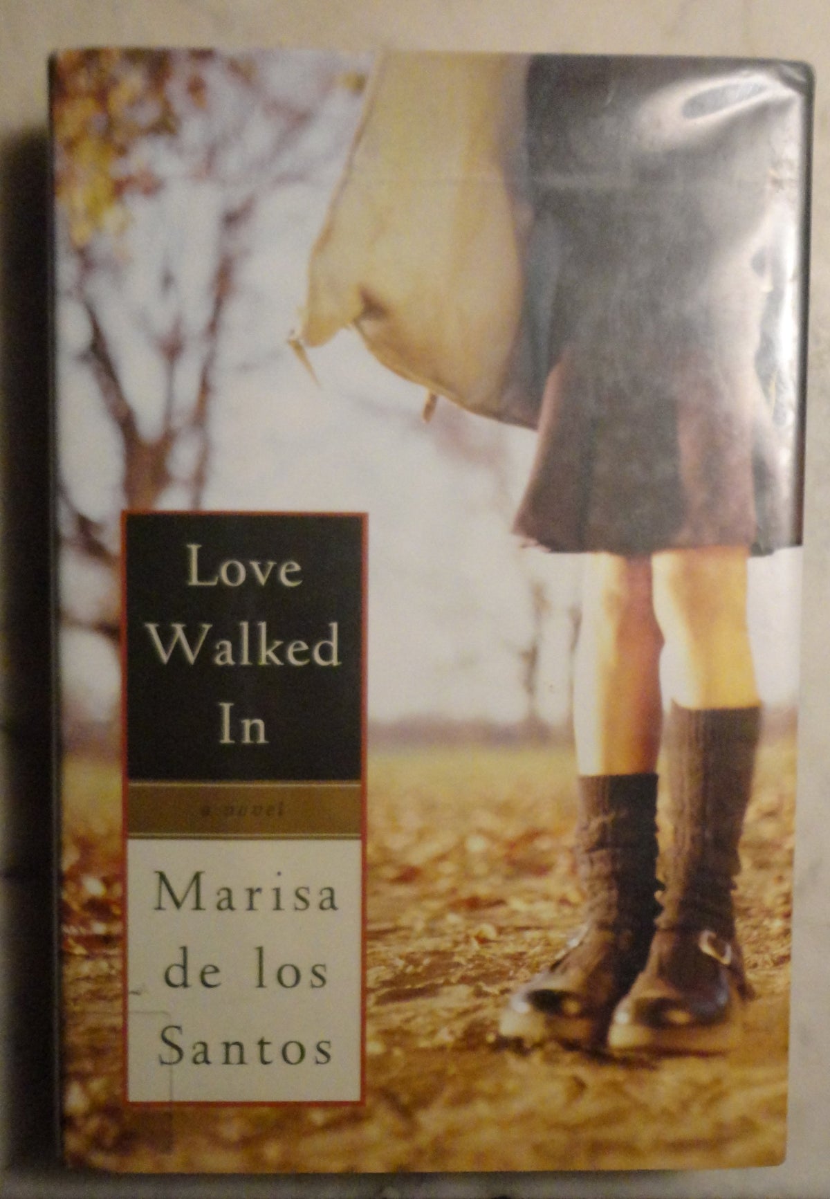 Love Walked In