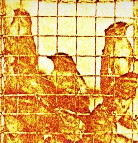 Migraine Inducers/Antagonitic Music by Martyn Bates